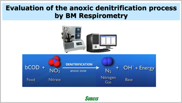 Anoxic dentrification by BM analysis presentation