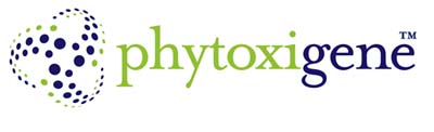 Phytoxigene